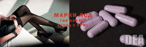 крисы Алексин