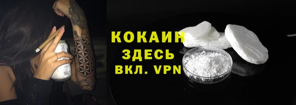 гидра Абаза