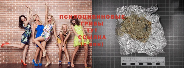 шишки Алзамай