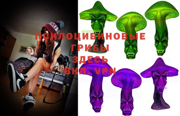 spice Алексеевка