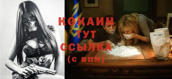 сатива Пролетарск