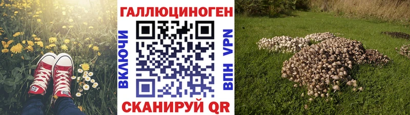 где купить наркоту  Камешково  Псилоцибиновые грибы ЛСД 